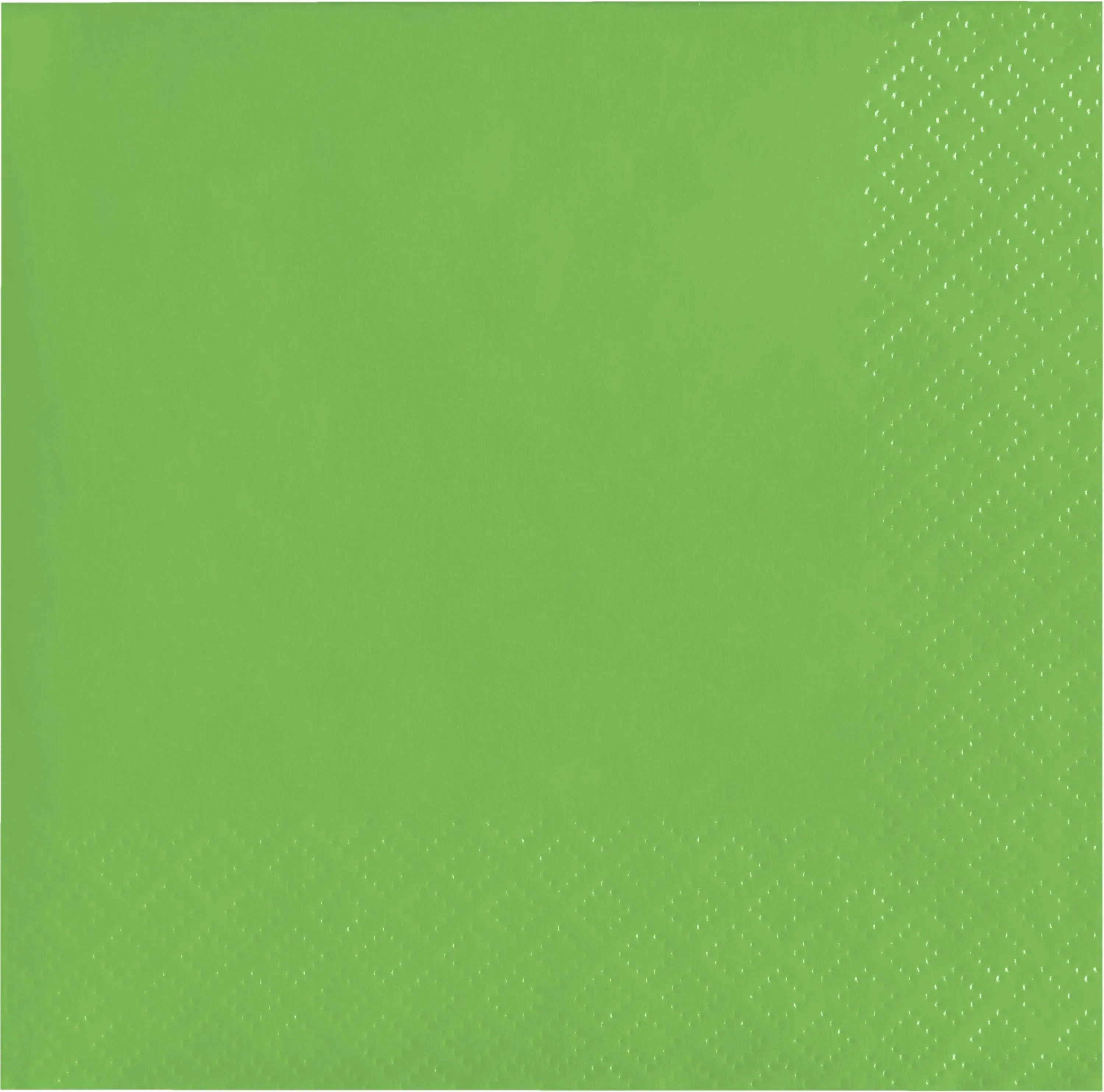 Bulk Fresh Green 2ply Beverage Napkin (480 per Case)