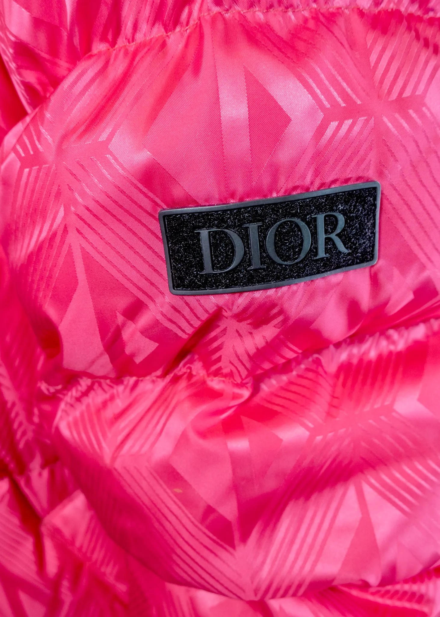 Christian Dior CD Diamond Mirage Down Ski Jacket