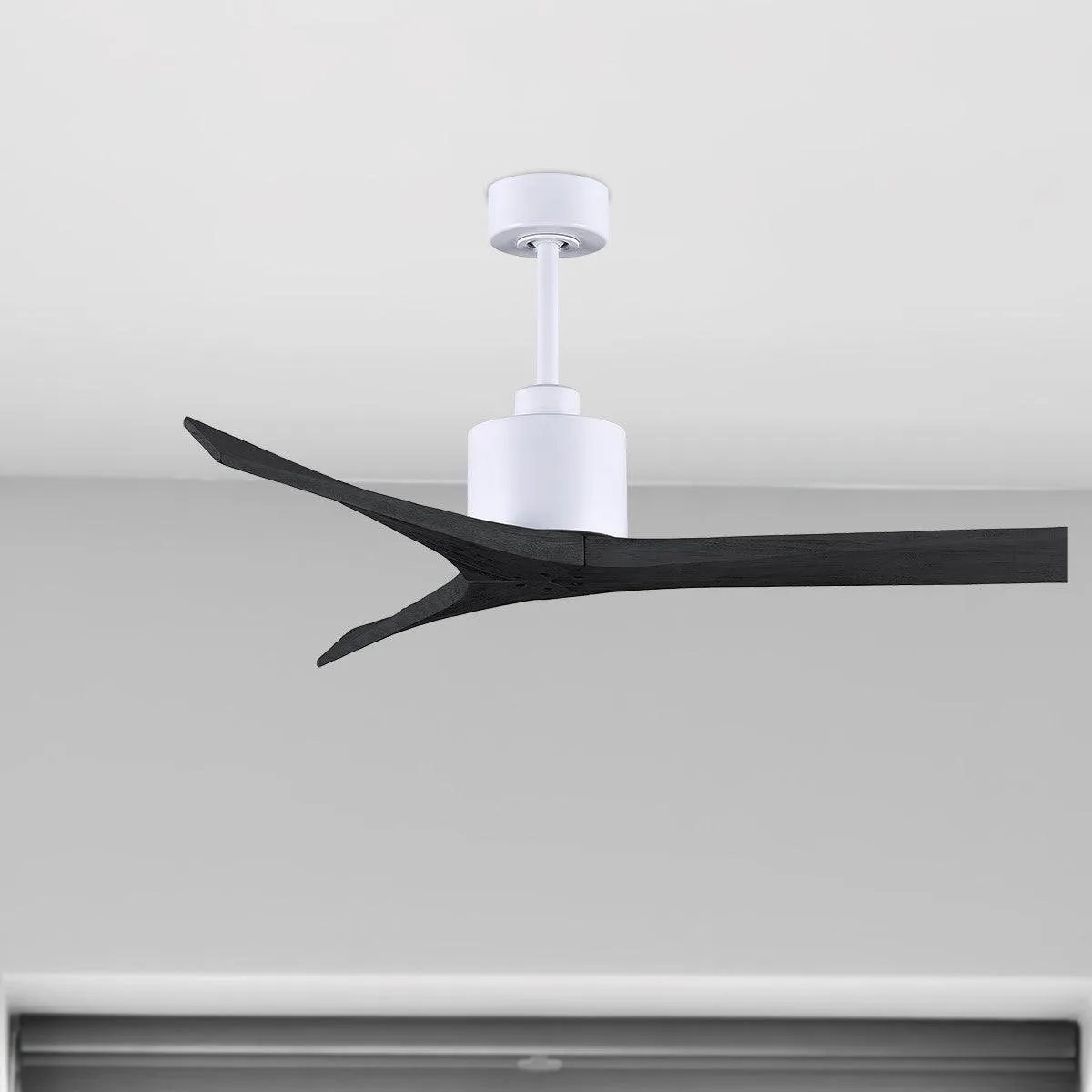 Mollywood 52 Inch White and Black Damp Rated Ceiling Fan with Remote