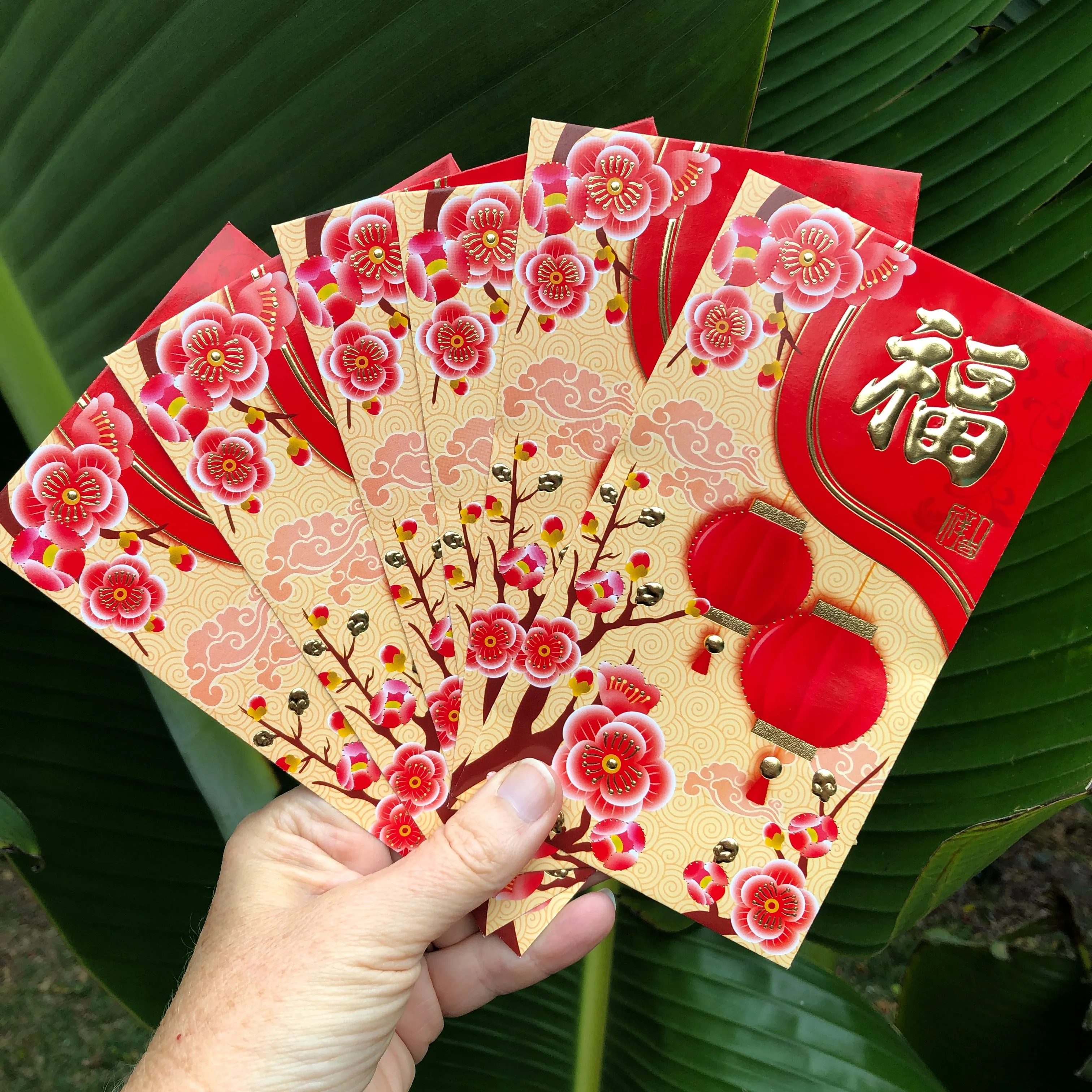 Red lanterns and blossoms - Red Money Envelopes (6 pack)